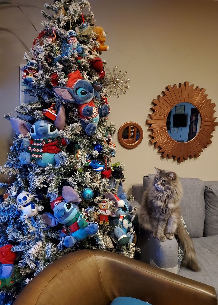Jack Meowington Likes To Death Stare At My Stitchmas Tree Every Year