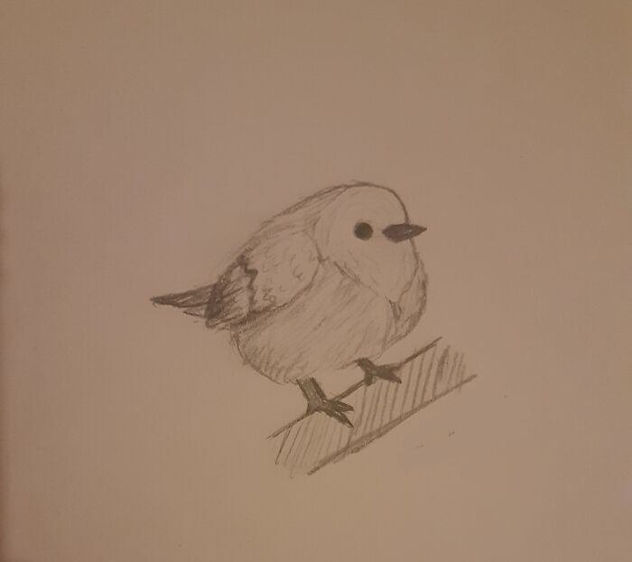 A Little Fluffy Birdie Sketch!