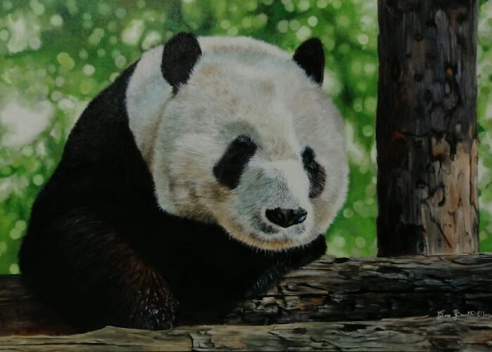 Bored Panda On A Branch... Painted It A While Ago