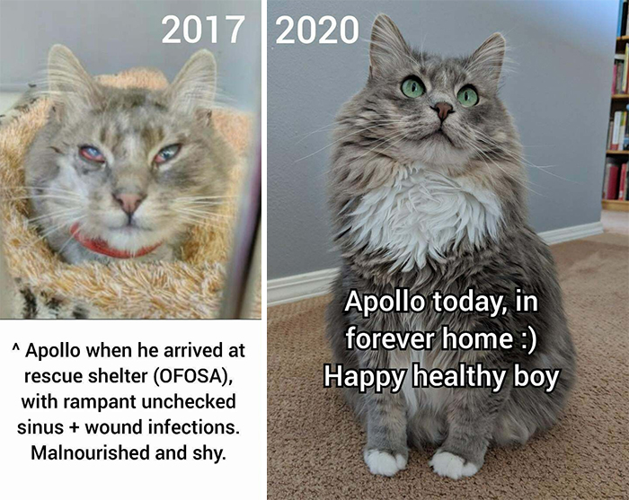 Apollo Has Given Us Just As Much As We Have Been Able To Give Him