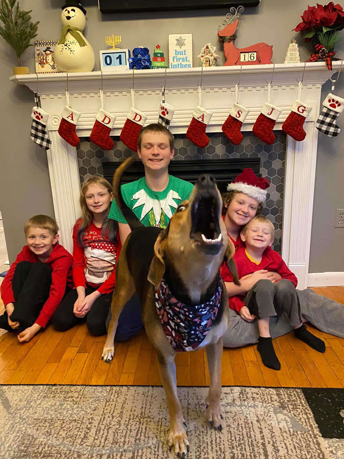 Dog Shamelessly Photobombs Every Single Family Christmas Pic, Ends Up Creating The Perfect Christmas Card