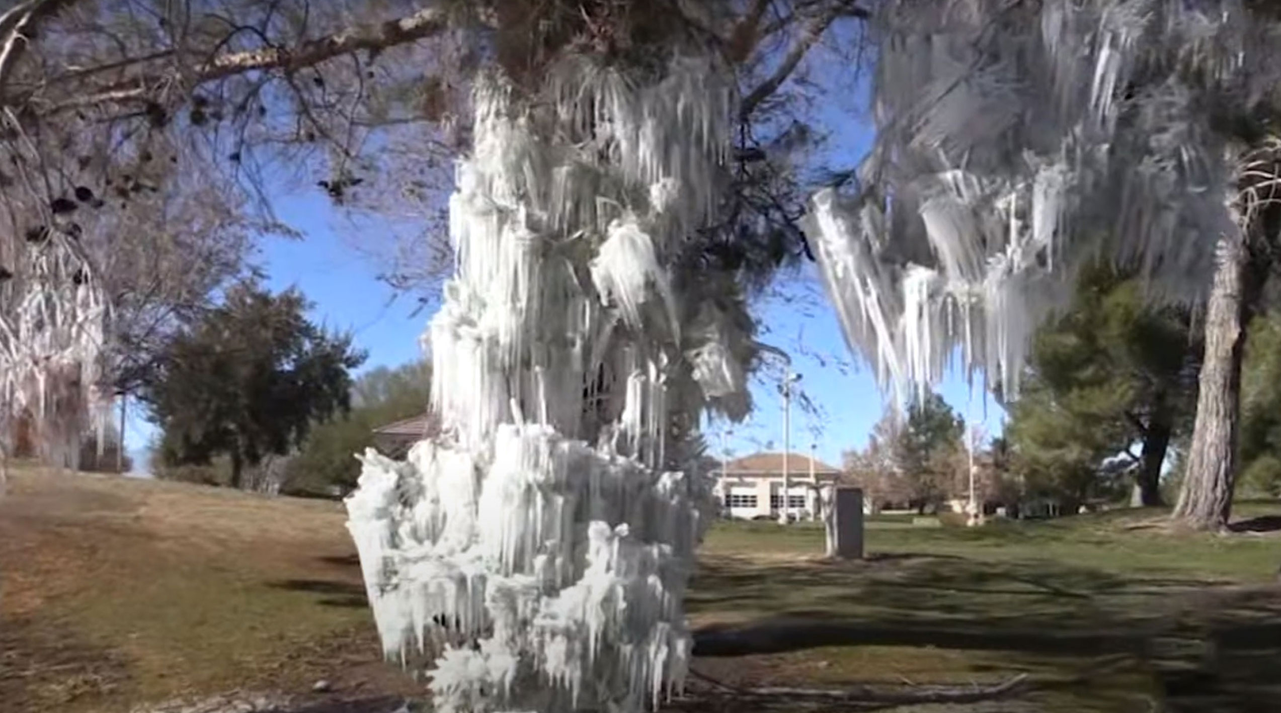 Frozen Sprinkler Creates Unimaginable Ice Sculpture In Apple Valley, California