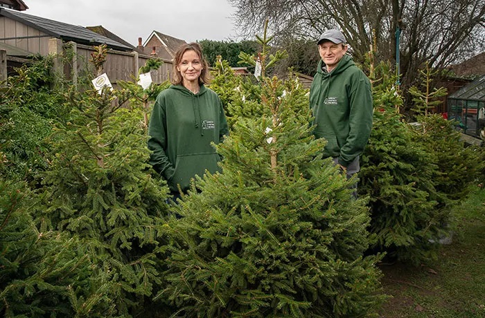 London’s Christmas Tree Rental Provides A Solution That Solves The Real VS. Artificial Tree Debate