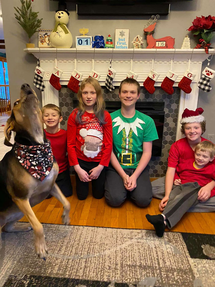 Dog Shamelessly Photobombs Every Single Family Christmas Pic, Ends Up Creating The Perfect Christmas Card