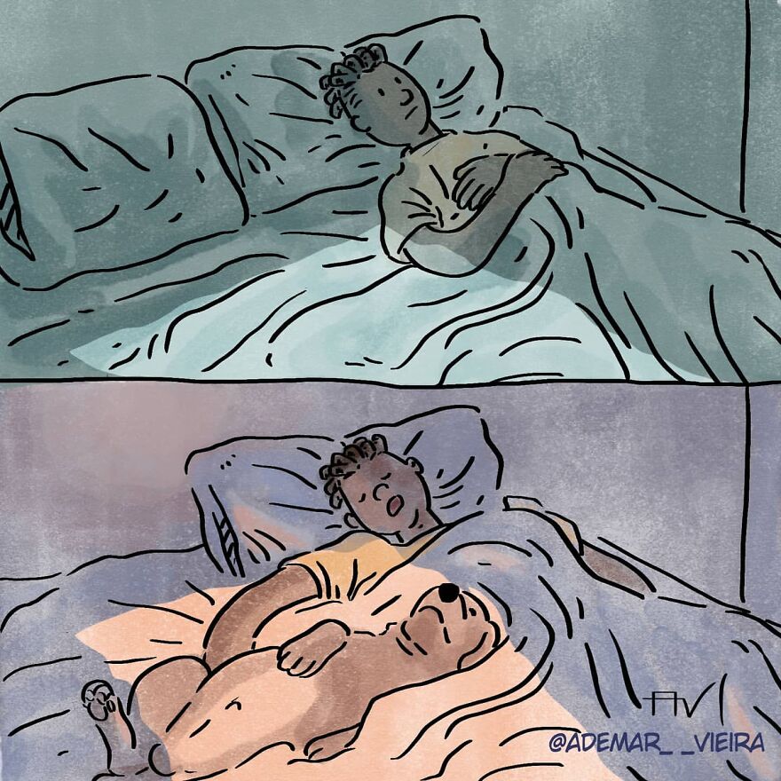 Artist's Comic "The Choice" Shows Two Different Outcomes That Come From Choosing To Have Or Not To Have A Dog