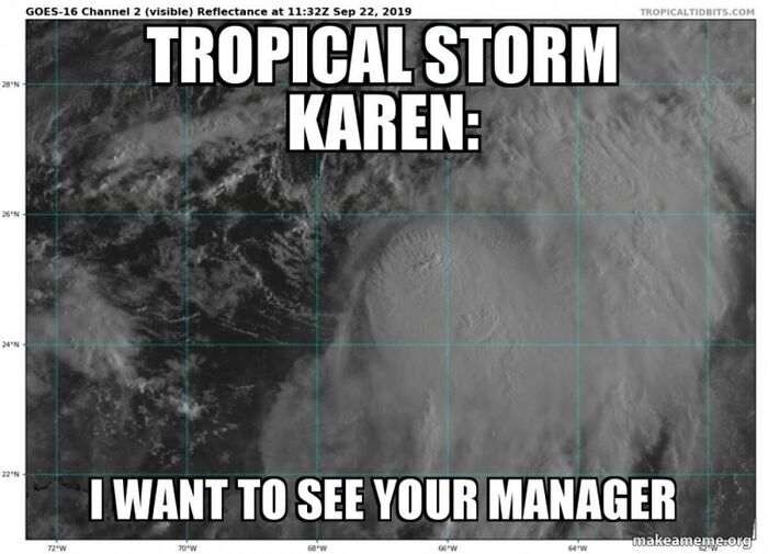 The Perfect Karen