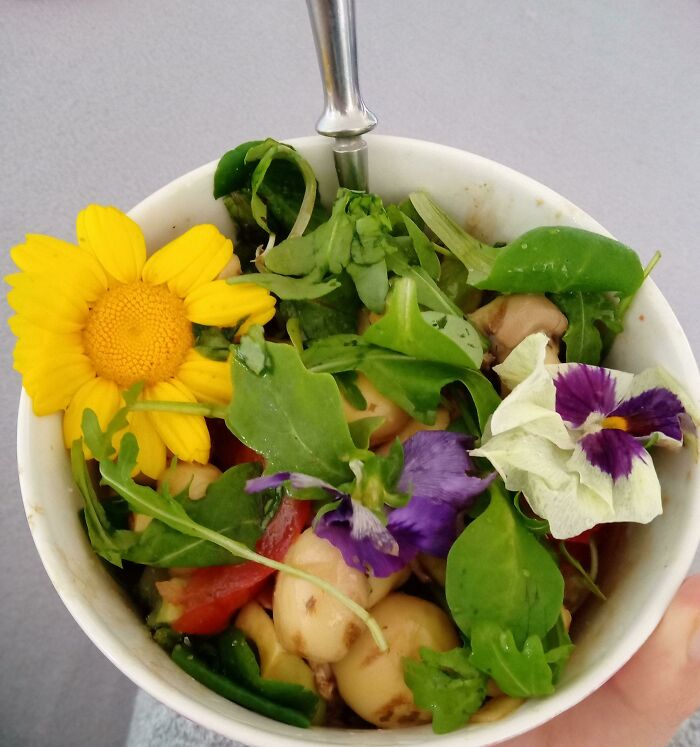 Decided To Fancy Up My Salad With Edible Flowers And It Tasted Like Ass
