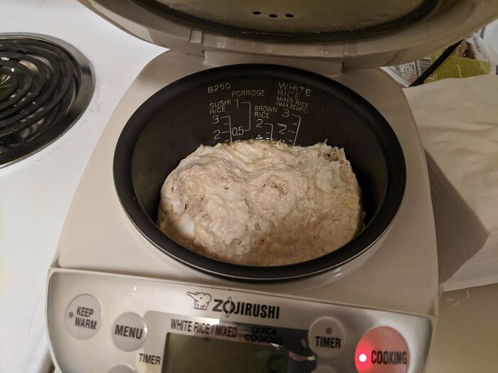 I Tried Making Fried Rice In My Rice Cooker, Eggs And All. It Did Not Turn Out Well