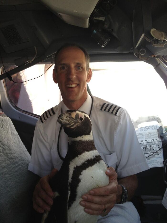 You Saw Penguins On A Plane? My Papps Was Flying It