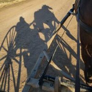 greentreemorgans avatar