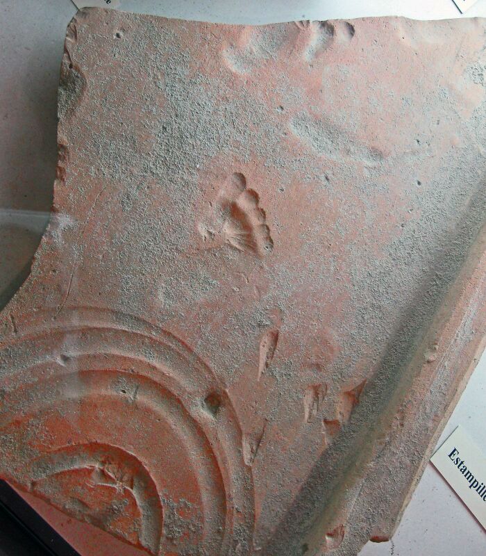 Kids In Rome Were Mischievous Too. Toddler's Footprint In A 2000 Year Old Clay Tile
