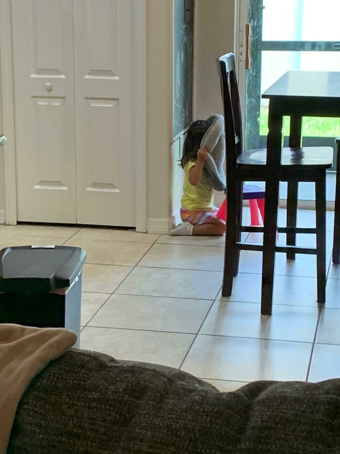 My Kid Asked Me To Play Hide And Seek With Her. I Of Course Obliged. This Is Her Genius Level Hiding Tactic. The Cat Bed