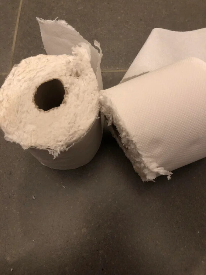 My Brother Couldn't Find Any Toilet Paper So He Took This Kitchen Roll And Cut It In Half