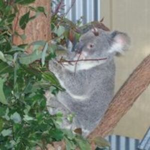 trishgriffin12 avatar