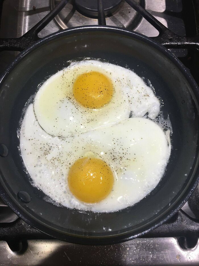 My Eggs Came Out Very Balanced This Morning