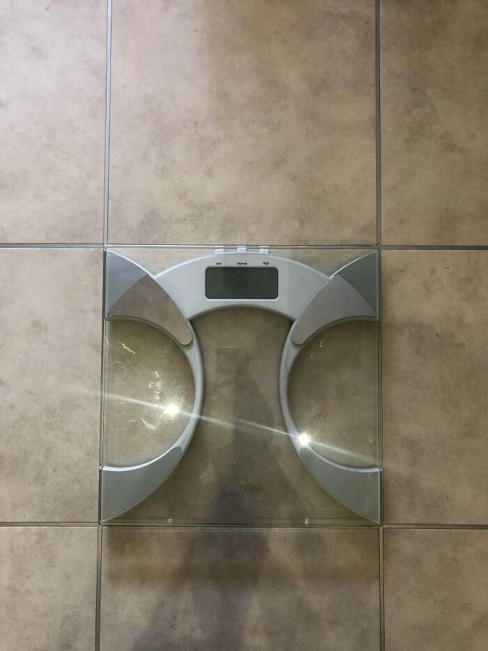 Scales On A Kitchen Tile