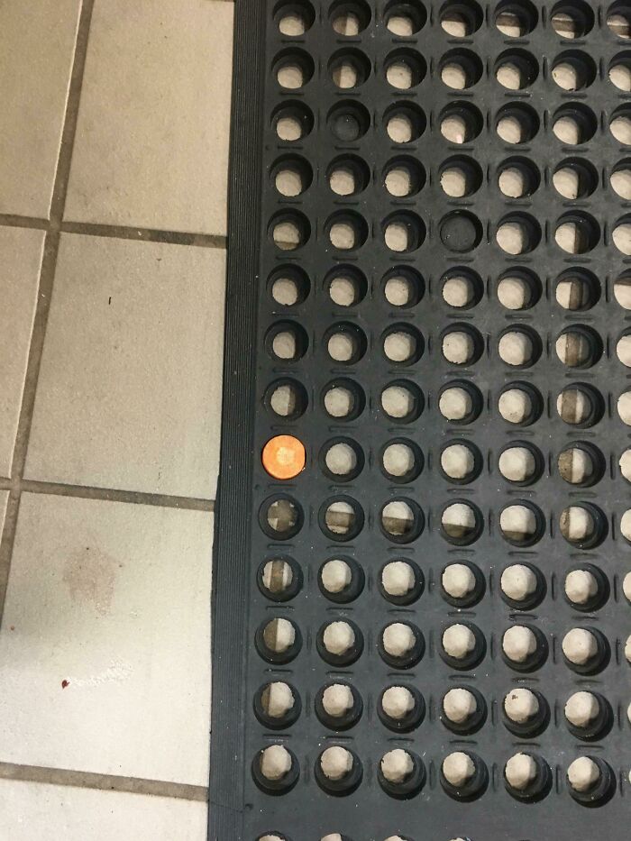 I Dropped A Carrot At Work