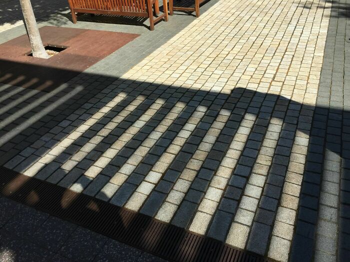 The Way The Shadow Lines Up With The Rows Of Bricks