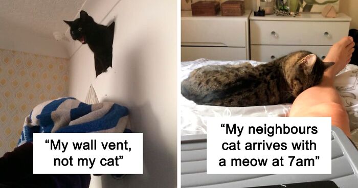 45 Of The Best ‘My House, Not My Cat’ Moments That Have Ever Happened To Humans (New Pics)