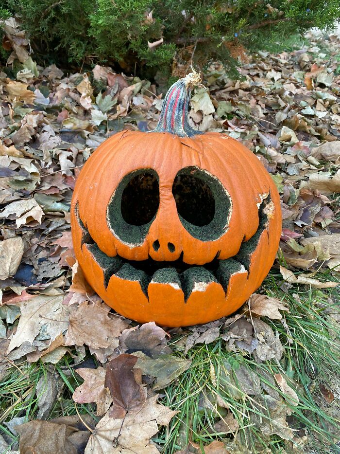 The Way This Pumpkin Has Rotted Is Just Creepy