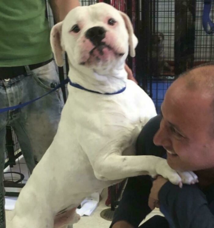 This Sweet Doggo’s Face After Being Reunited With His Dad After 7 Months