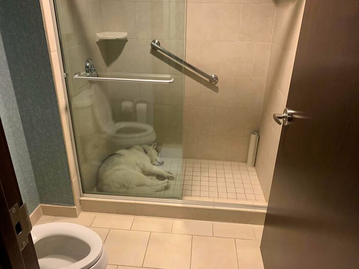 Su primera vez en un hotel. Ha elegido dormir en la ducha
