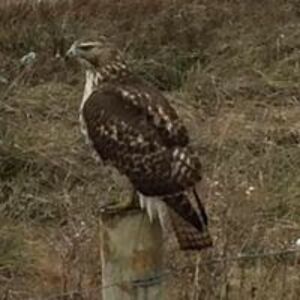 matthewrc0914 avatar