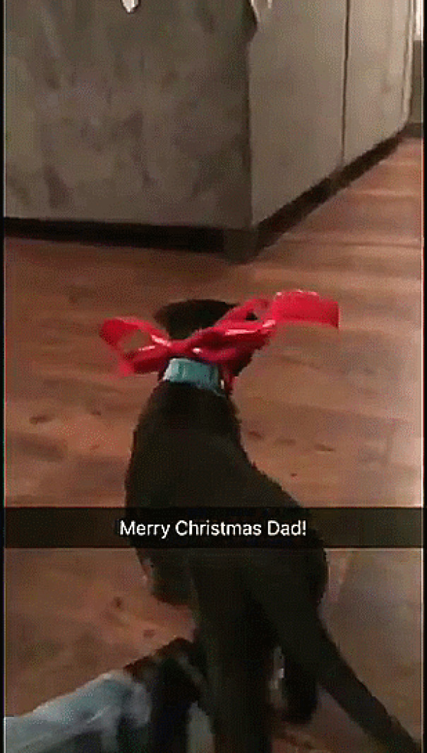 Dad Gets A Christmas Present!
