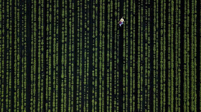 Frame From The Matrix (1999) Where A Mouse Cursor Was Accidentally Left In.