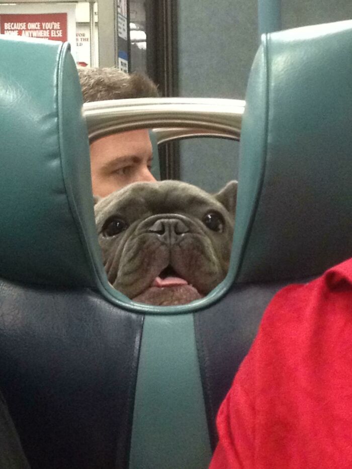 On The Train And Saw This Friendly Face