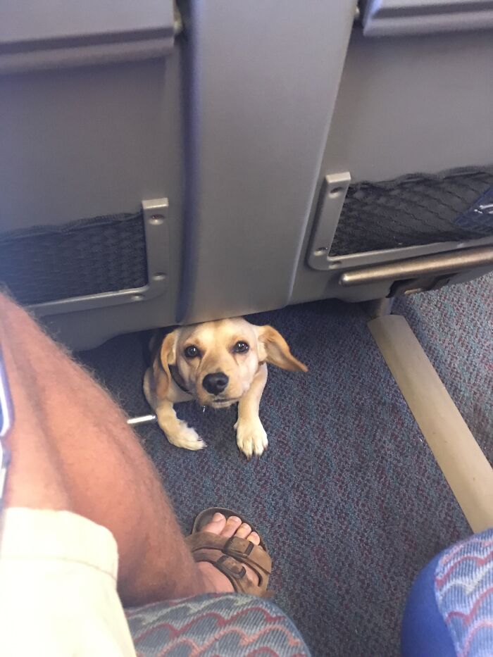 I Made A New Friend On The Train