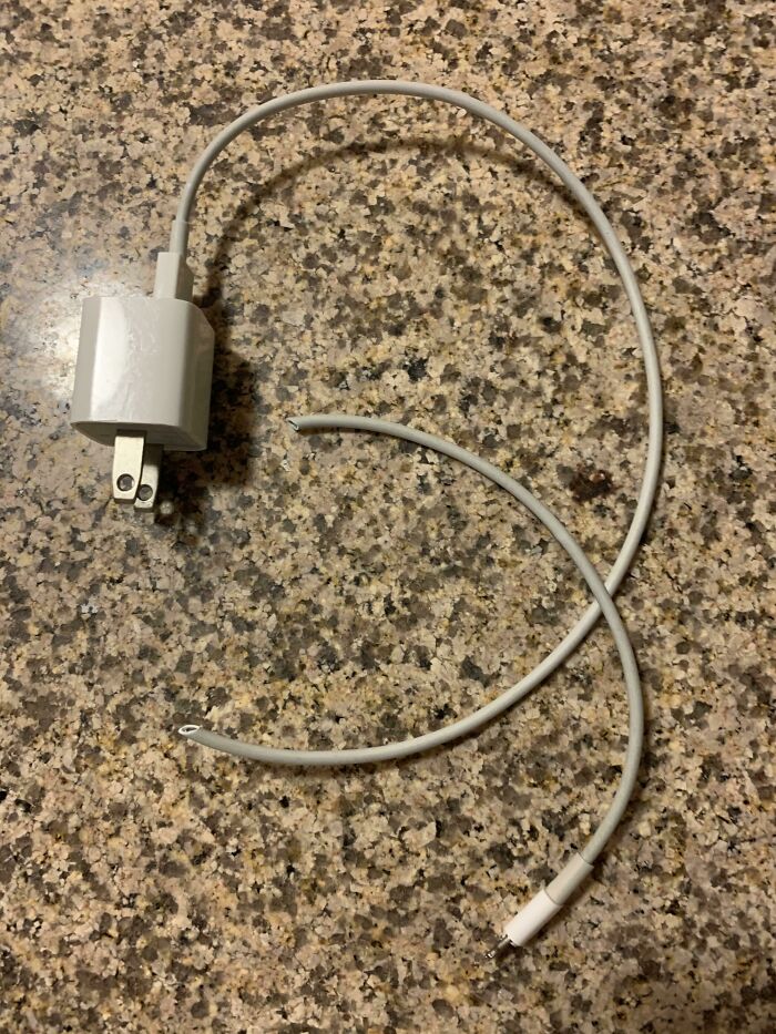 I Was Really Pleased To Find That My Left-Behind Charger Had Arrived In The Mail. Because I Am My Own Worst Enemy, I Hastily Opened The Package With Scissors