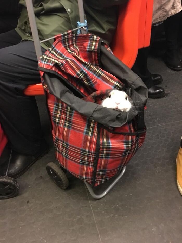 My Friend Saw This Guy On The Metro