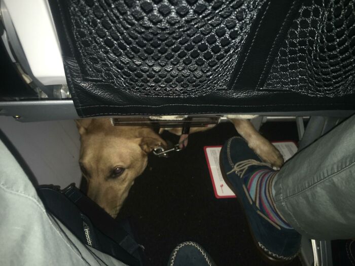 Passenger In Front Of Me On The Plane Kept Playing Footsie With Me. Finally Looked Down