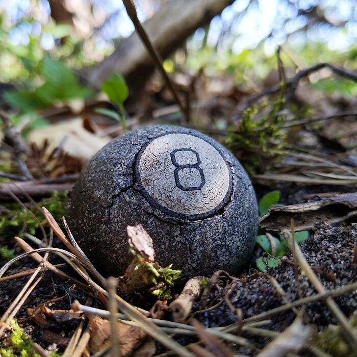 An Old 8-Ball Found Deep In A Forest