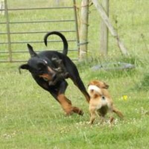 shadowplaystud avatar