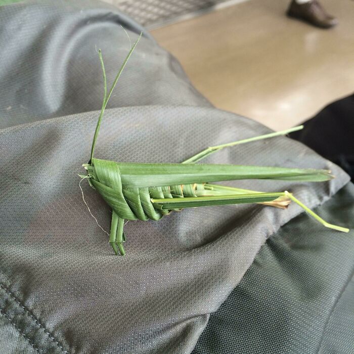 This Origami Grasshopper My Friend Found On A Tram In Japan