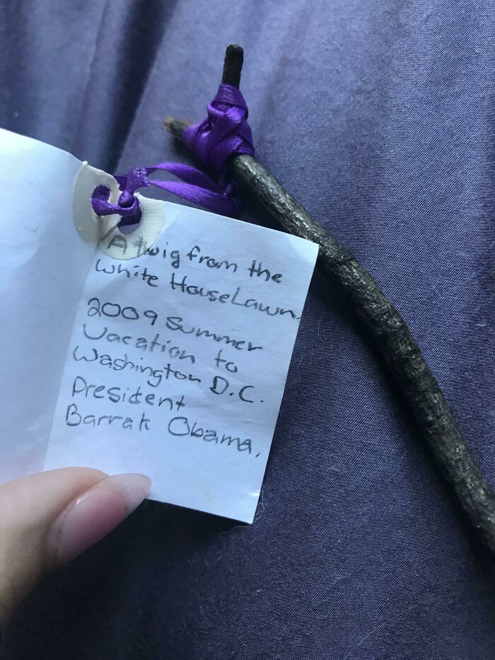 I Found A Twig I Stole From The White House 11 Years Ago As A Kid