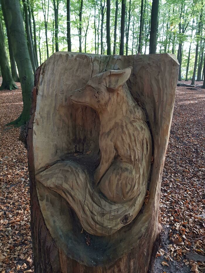 I Found This Carved Fox Inside A Tree Stump, In A Forest Close To My Home