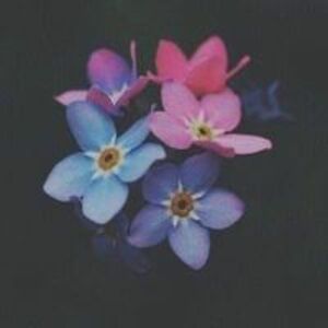 melissakimberly avatar