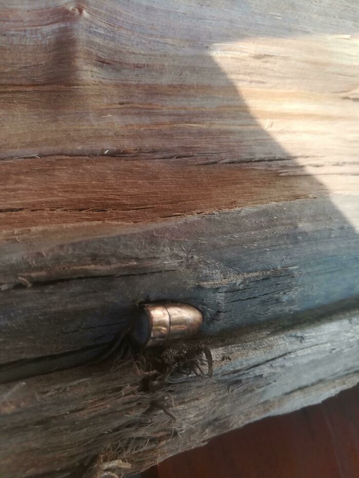 I Chopped Some Wood And Found A Bullet