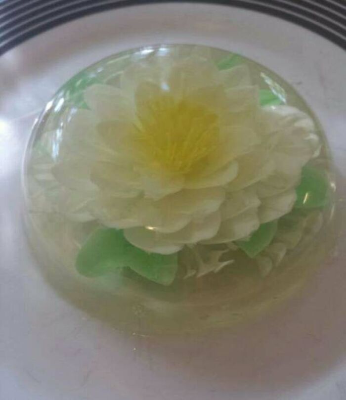 Flower in a jello bubble 