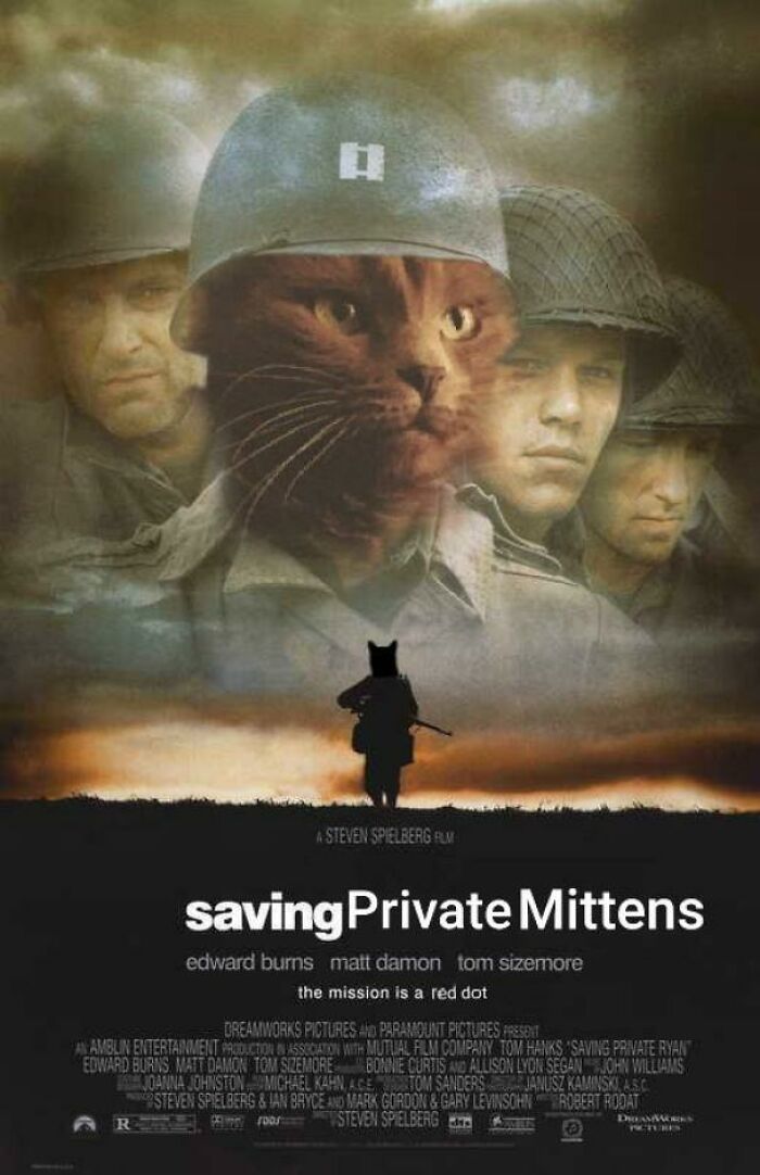 Funny movie covers wit cat 
