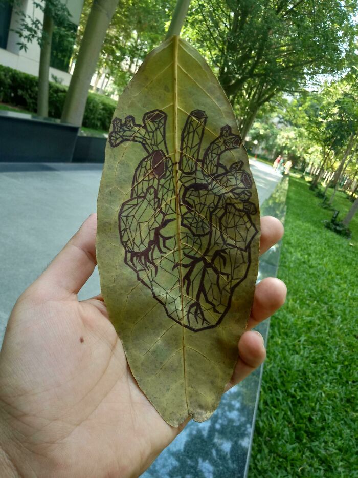 This Polygon Heart Drawn On A Leaf I Found In My Campus