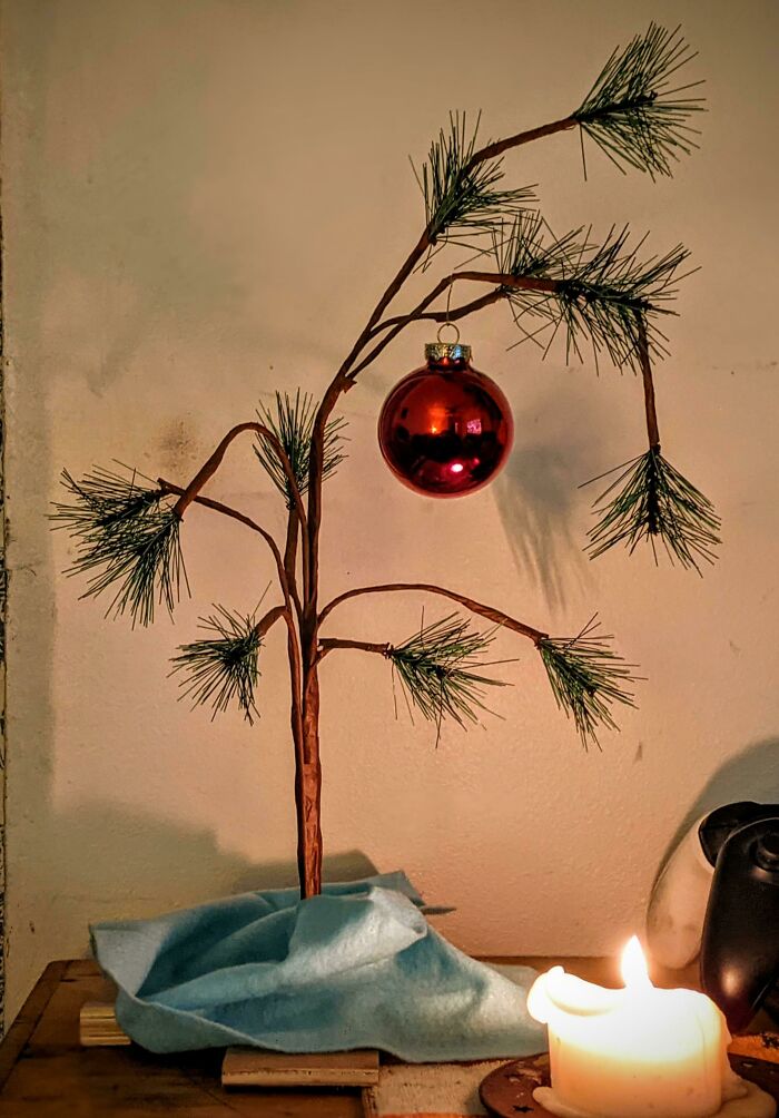 "The Perfect Christmas Tree For 2020 Doesn't Exi-"