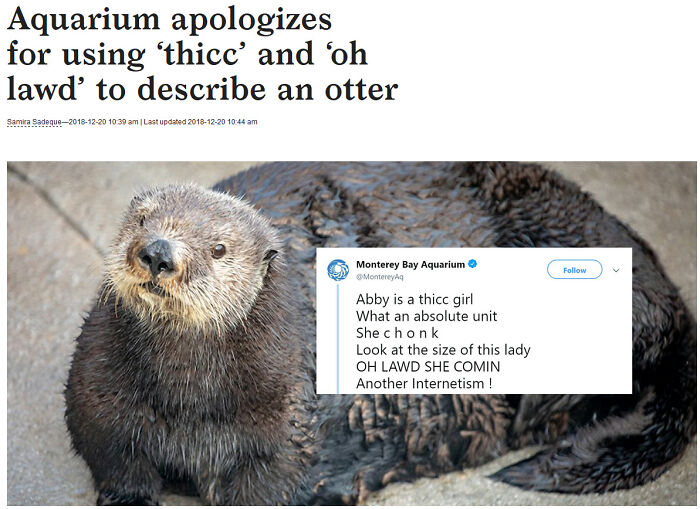 Why Would You Apologize For Accurately Describing An Absolute Unit