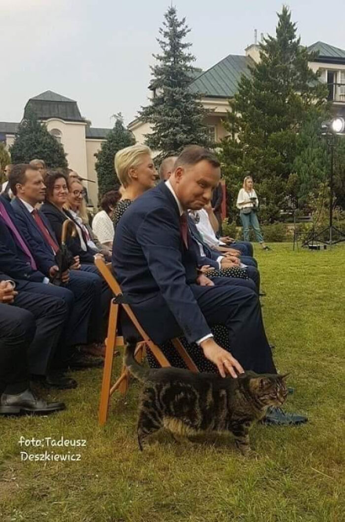 The President Of Poland With A Chonk Cat