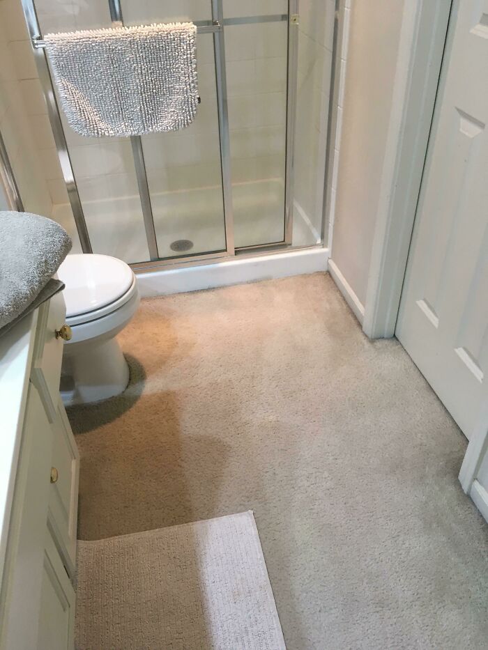 Carpet In Bathrooms