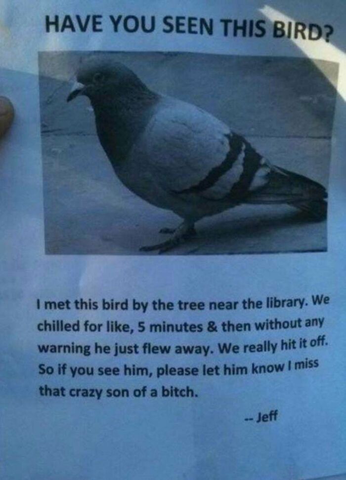 Have You Seen This Bird?