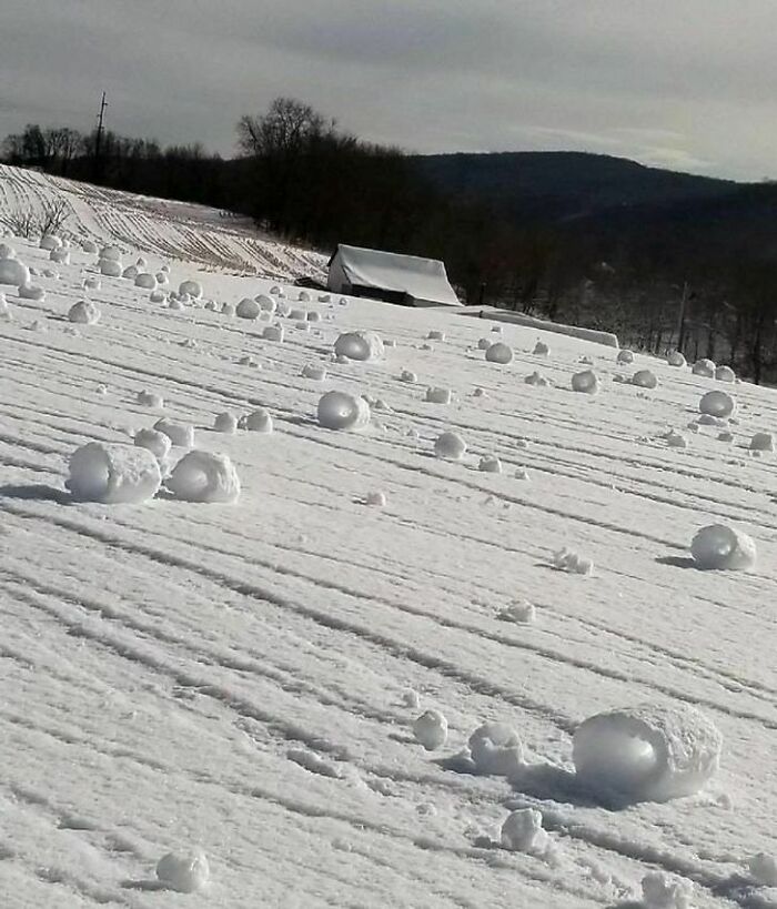 Snow Rolls Formed By The Wind
